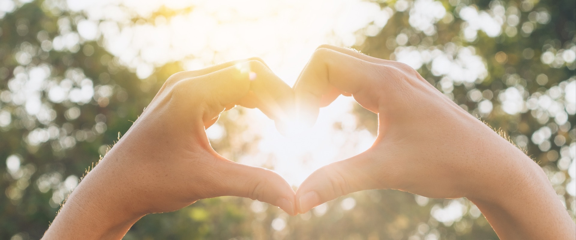 Female hands heart shape on nature bokeh sun light flare and blur leaf abstract background.
